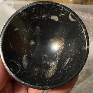 Orthoceras Fossil Bowl